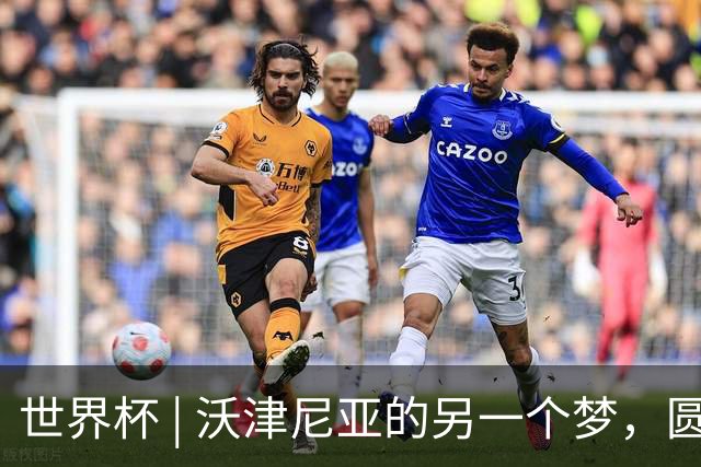 世界杯 | 沃津尼亚的另一个梦，圆了