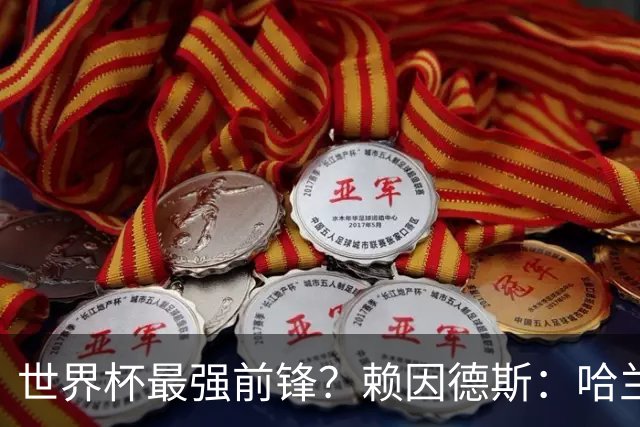 世界杯最强前锋？赖因德斯：哈兰德是我朋友，但我坚持要选加克波